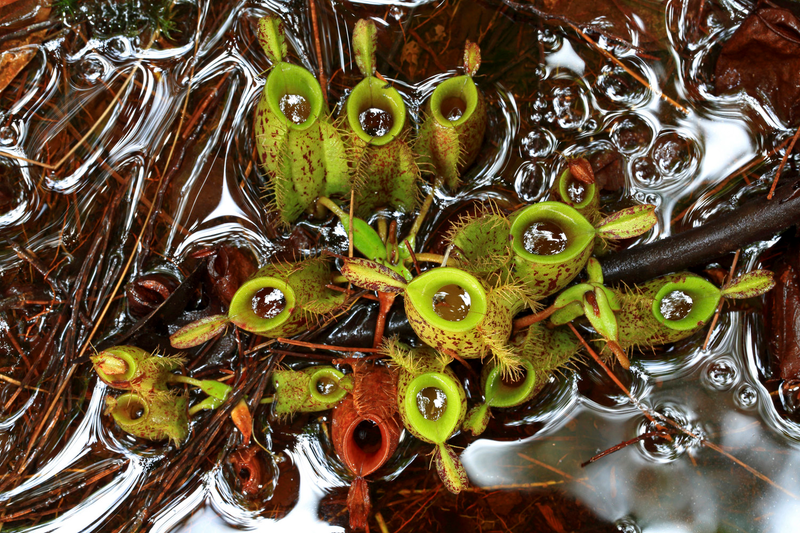 Illustration for article titled 25 espectaculares fotos de los Sony World Photography Awards